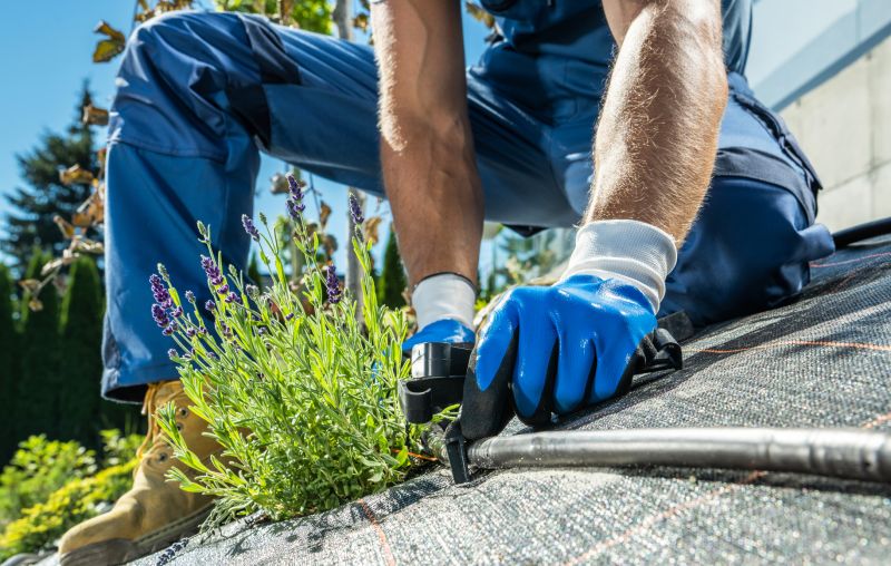 Yard Irrigation Installation in Aiken, SC