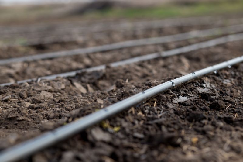 Drip Irrigation Installation detail