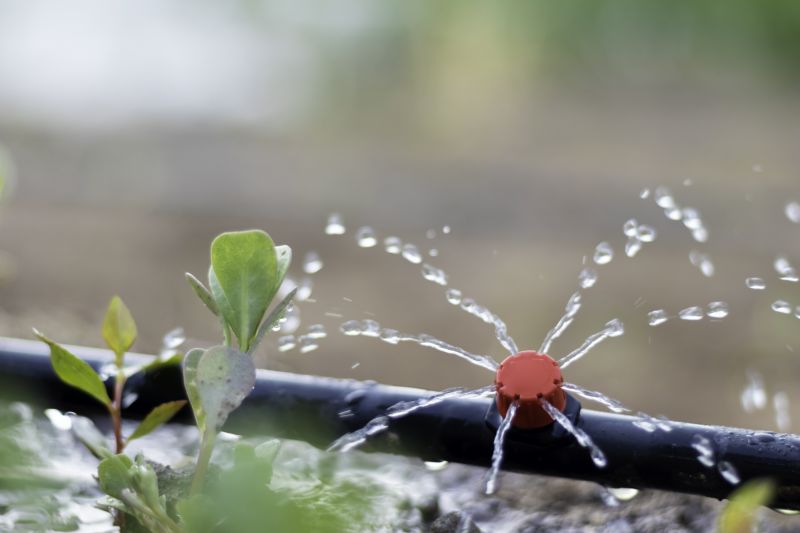 Garden Irrigation Installation detail