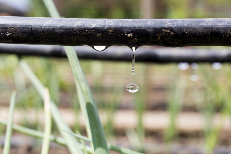 Garden Irrigation Installation in Honolulu, HI