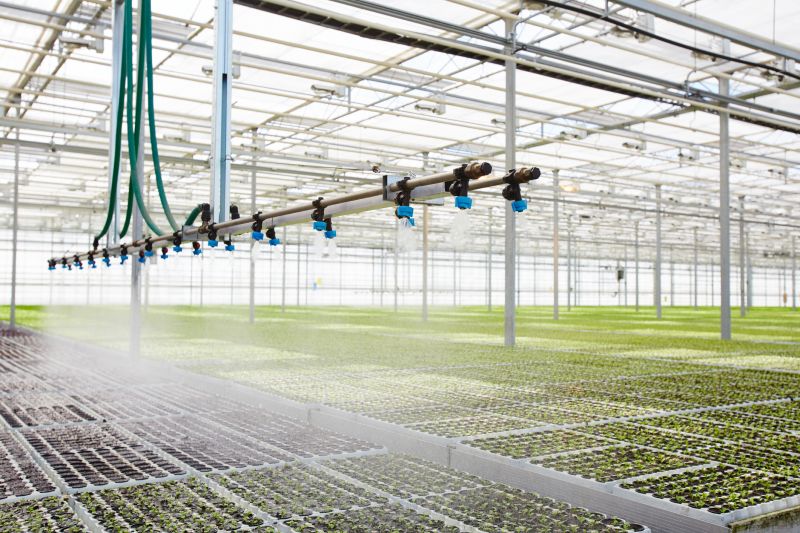 Plant Irrigation Installation in Aiken, SC