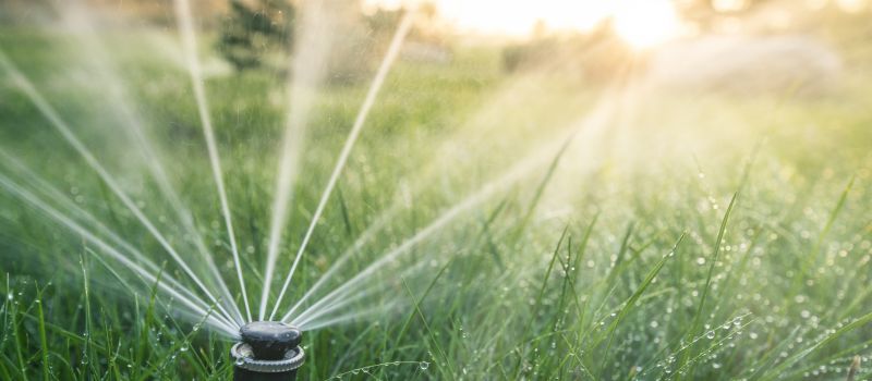Sprinkler Head Repair in Honolulu, HI